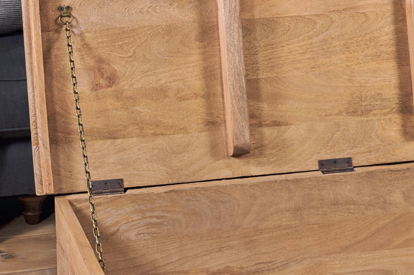 Vidur Mango Wood Chest Coffee Table