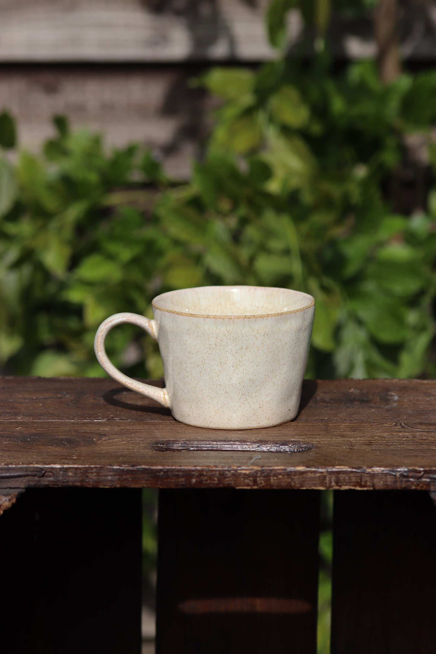 Beige Speckled Mug