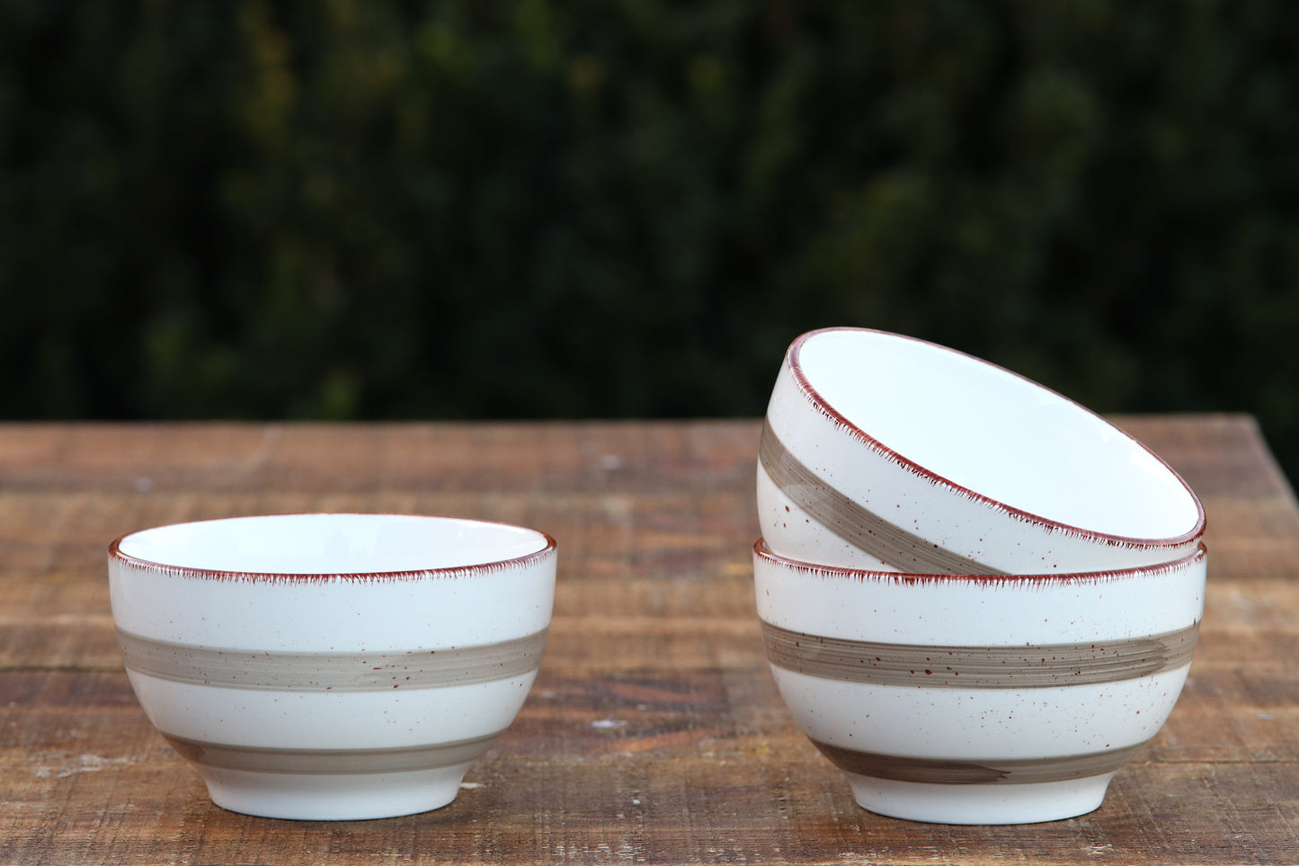Hand Painted Brown Stripe Bowl
