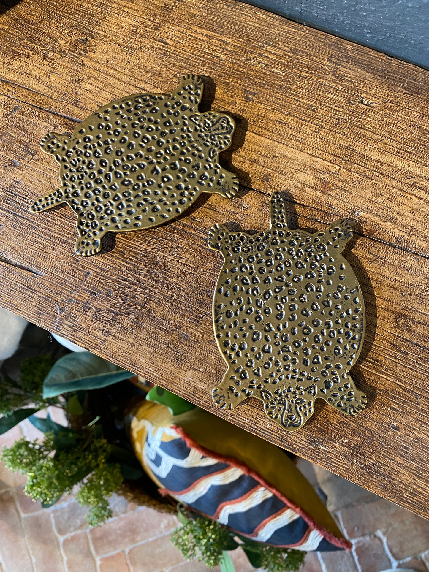 Flat Cheetah Coaster