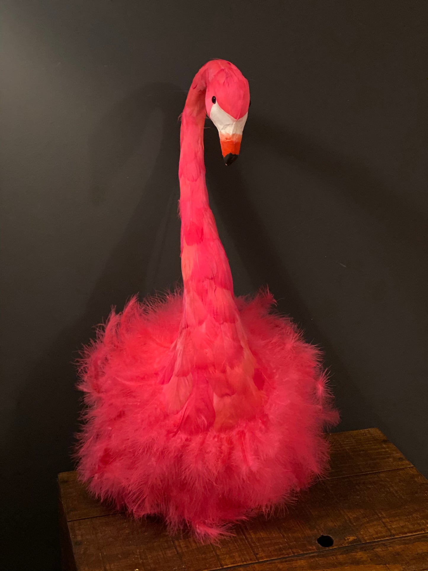 Pink Flamingo Wall Mount