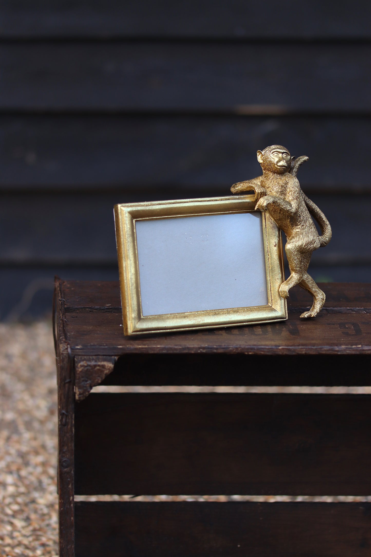 Gold Monkey Photo Frame