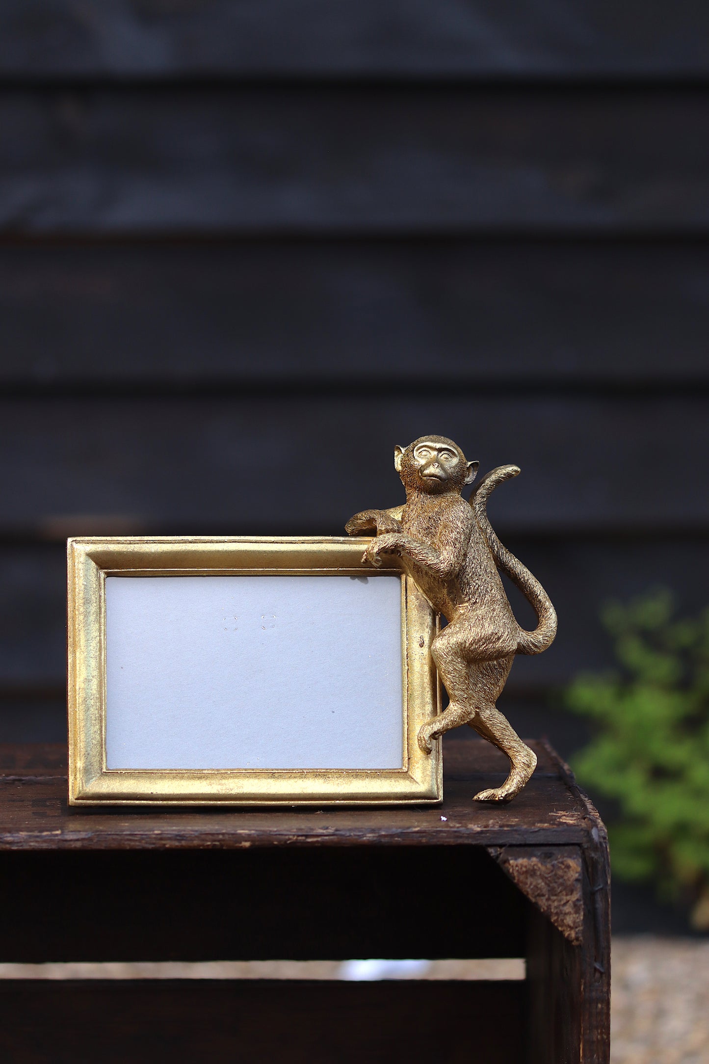 Gold Monkey Photo Frame