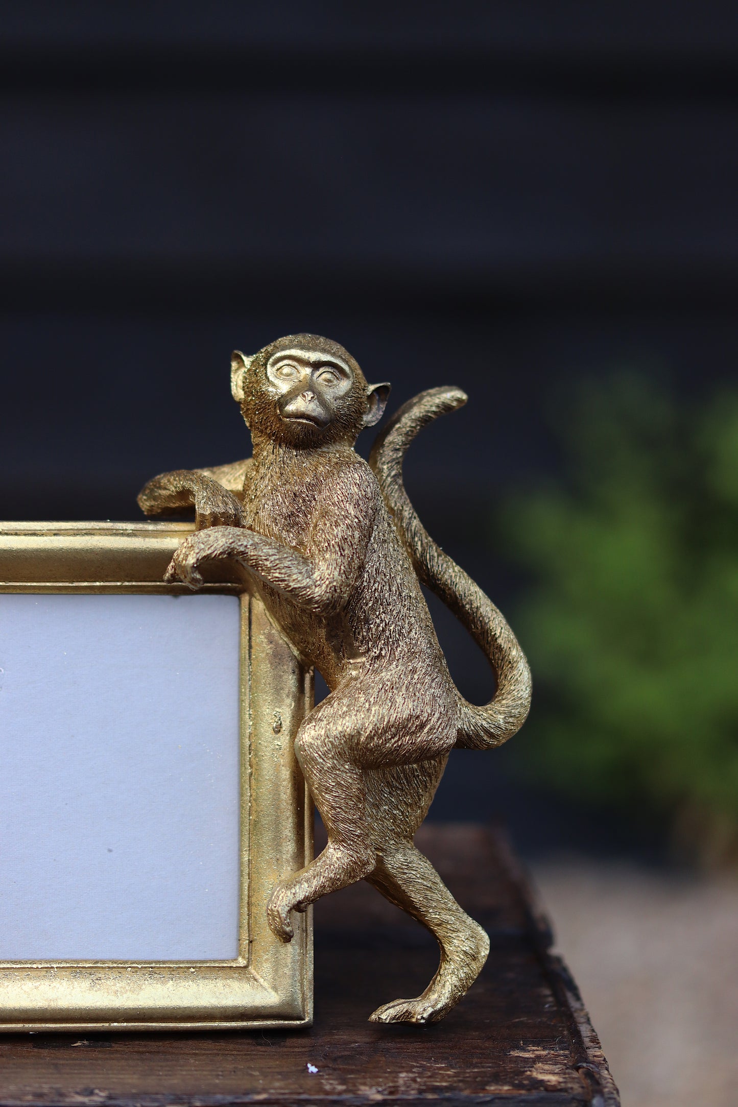 Gold Monkey Photo Frame