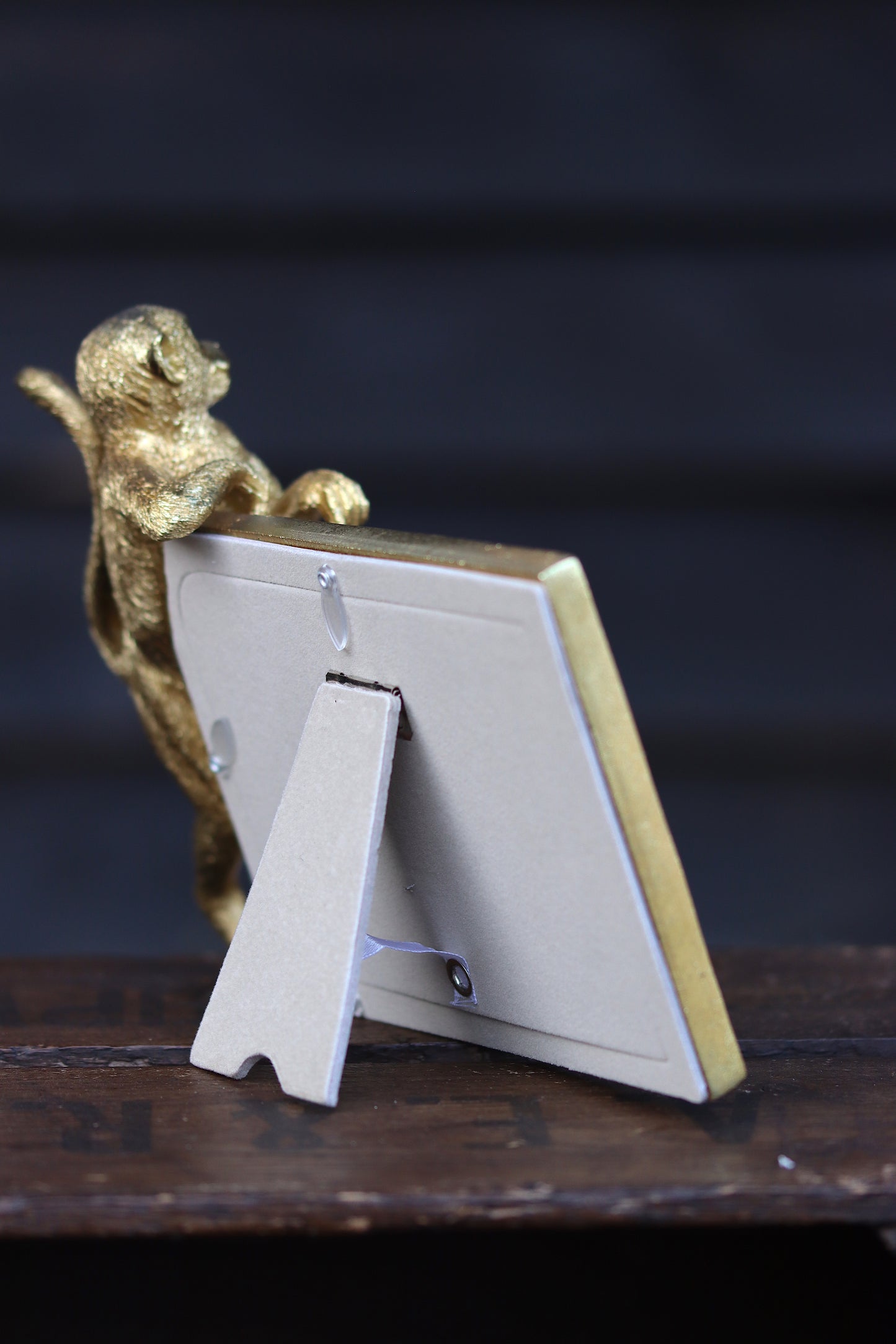 Gold Monkey Photo Frame