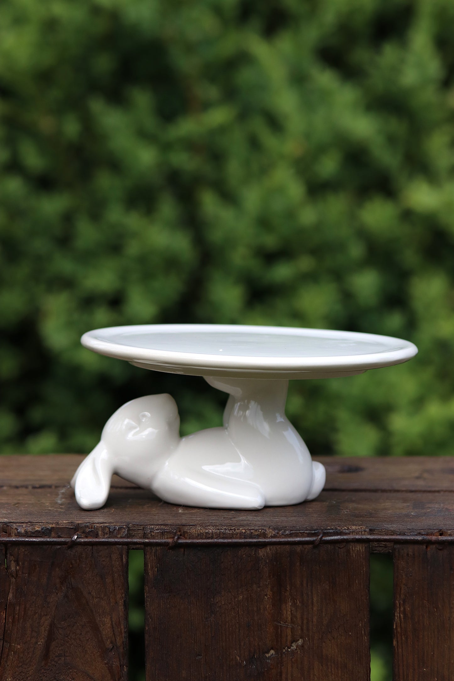 Rabbit Cupcake Plate