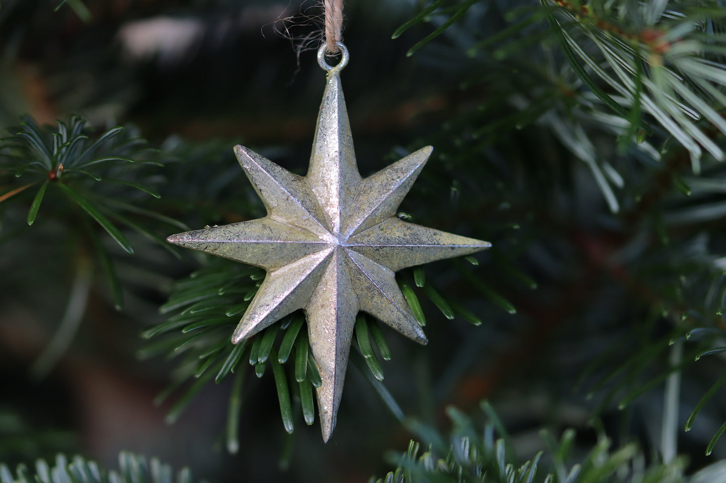 Serafina Star Ornament - Antique Gold