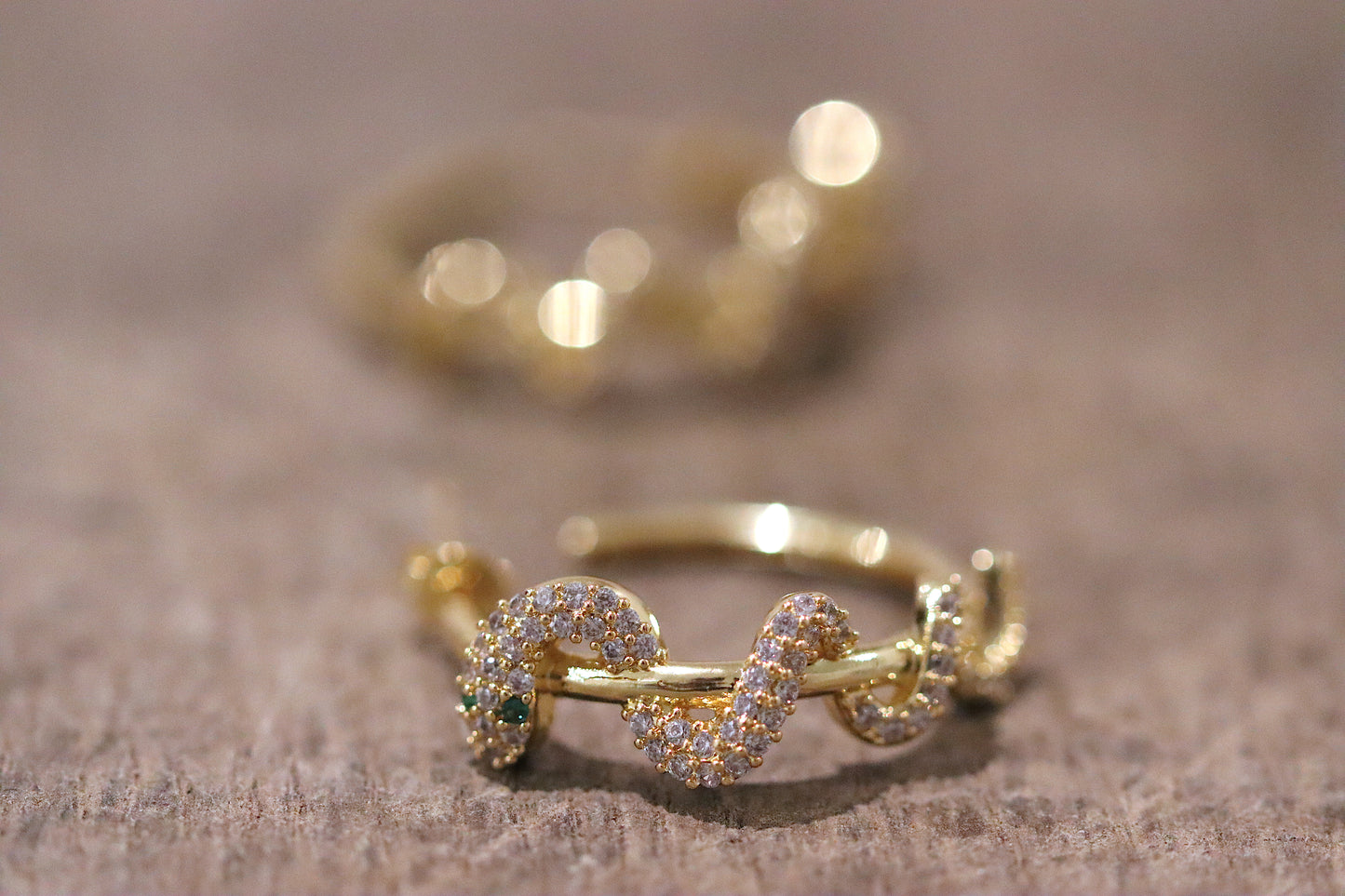 Winding Snake Hoops