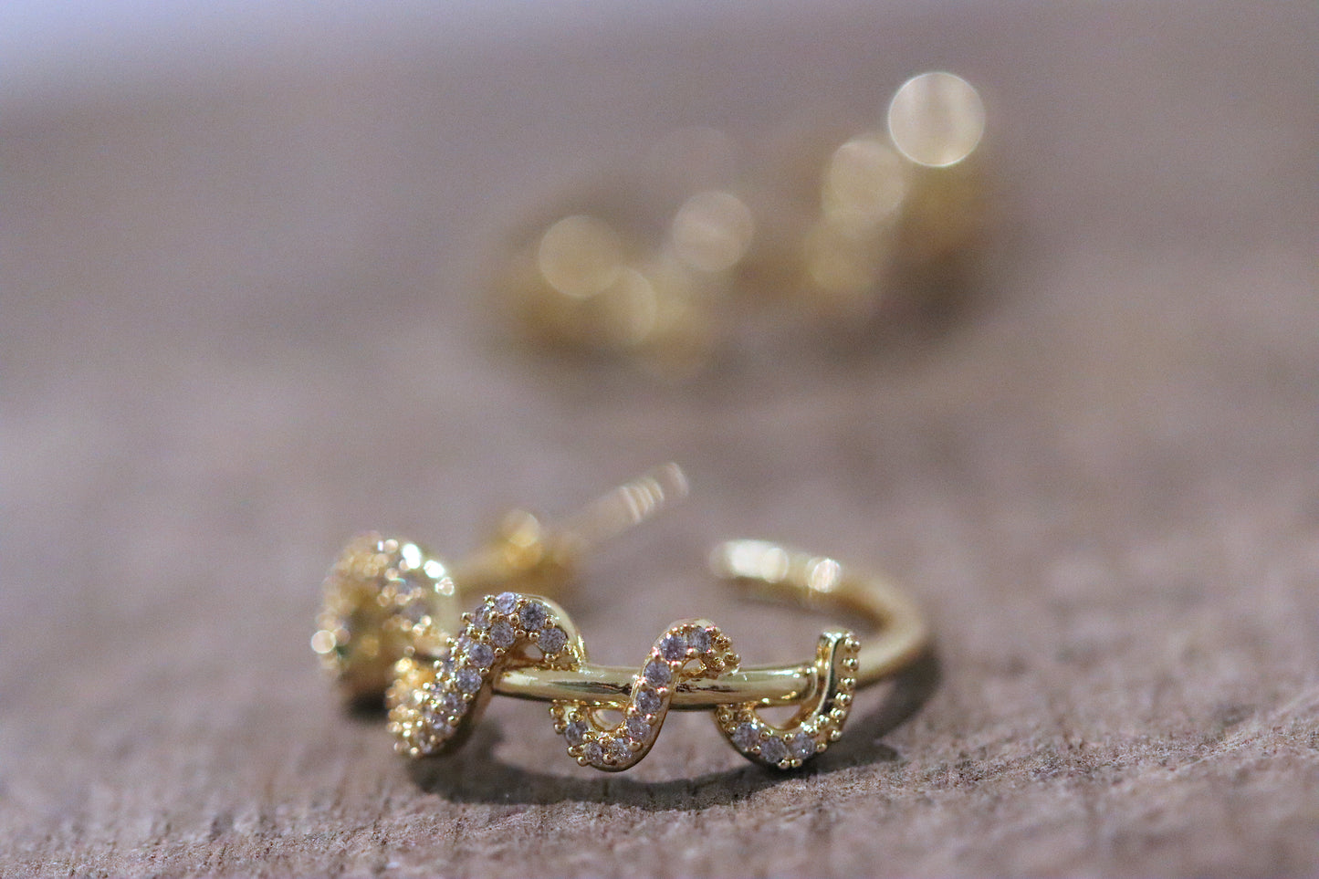 Winding Snake Hoops