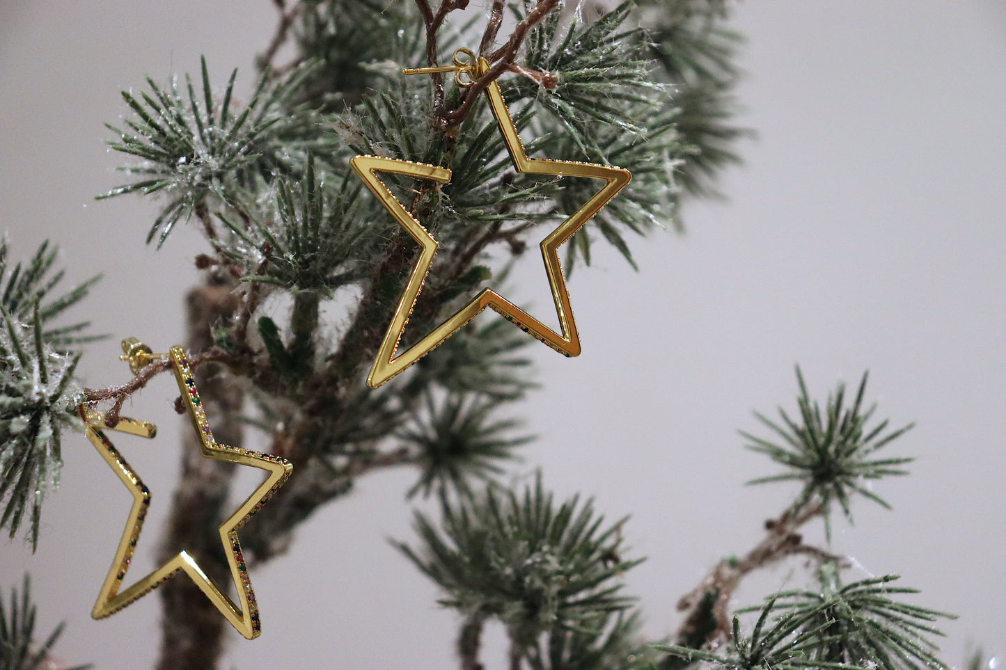 Cubic Zirconia Studded Star Earrings