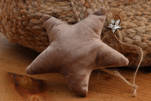 Velvet Star Decoration