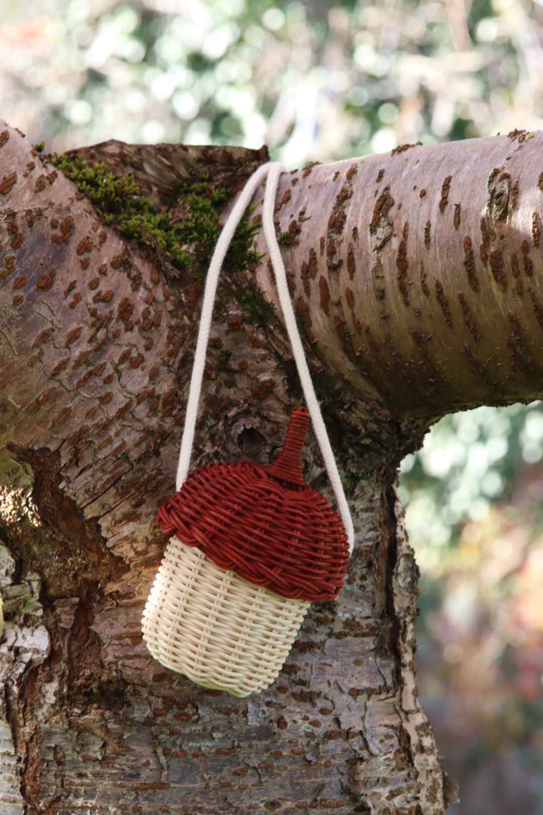 Tiny Treasure Acorn Basket