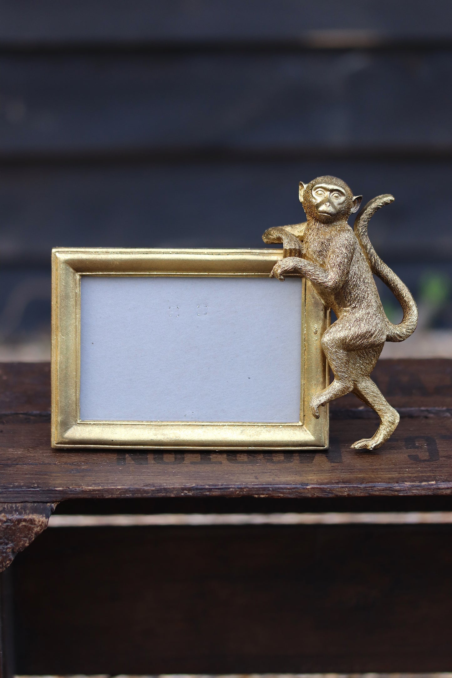 Gold Monkey Photo Frame